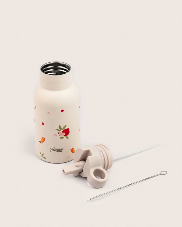 350ml Stainless Steel Insulated Water Bottle with Pomegranate Design, Sipper Straw Lid and Cleaning Brush for Kids in India
