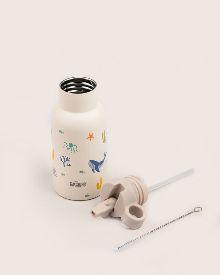 350ml Ocean Theme Stainless Steel Water Bottle with Sipper Lid and Cleaning Brush for Kids India