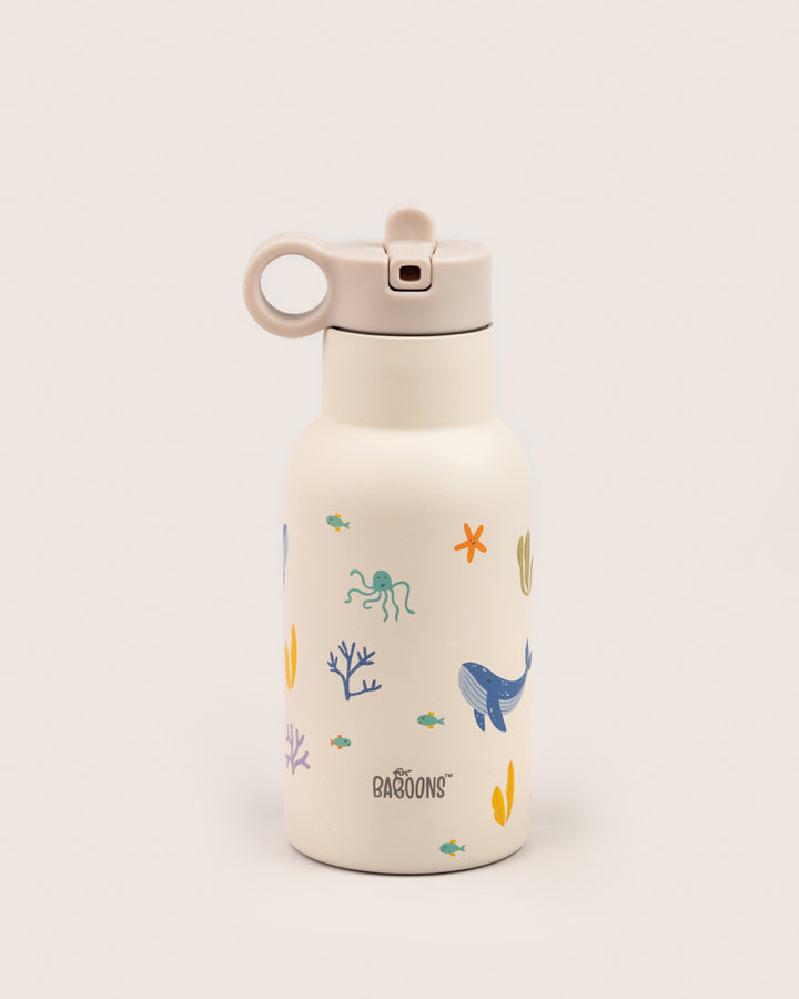 350ml Ocean Theme Stainless Steel Water Bottle for Kids with Sipper Lid India