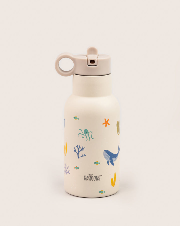 School Essentials Lunchii Pack